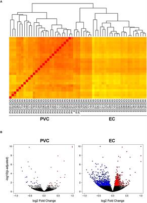The Endosomal–Lysosomal Pathway Is Dysregulated by APOE4 Expression in Vivo